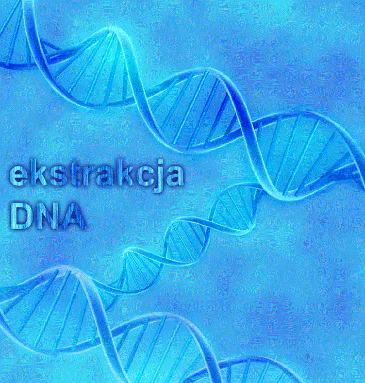 Zestawy do ekstrakcji DNA
